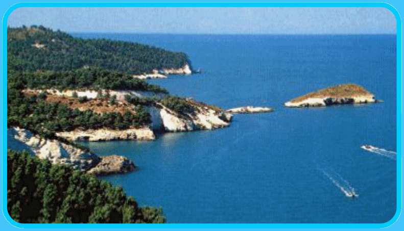 video vieste marina
